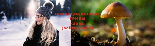 прущая мука Саяногорск