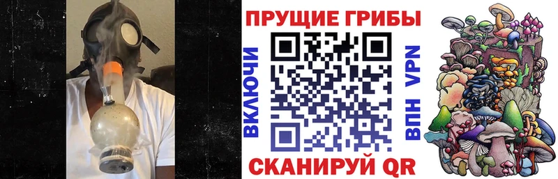 Галлюциногенные грибы Psilocybine cubensis  Купить  Нижний Новгород 